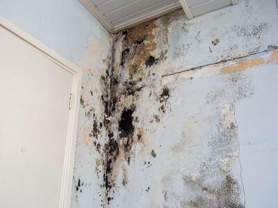 About Albany Water Damage Restoration - 24 hour water damage restoration experts in Albany
